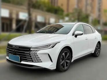 BYD: BYD Destroyer 05: 1.5 l | 2024 il Sedan