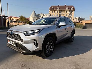 rav4 2024: Toyota RAV4: 2024 г., 2.5 л, Автомат, Гибрид — 2