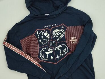 Sweatshirt, Harry Potter, 16 years, 164-170 cm, condition - Very good