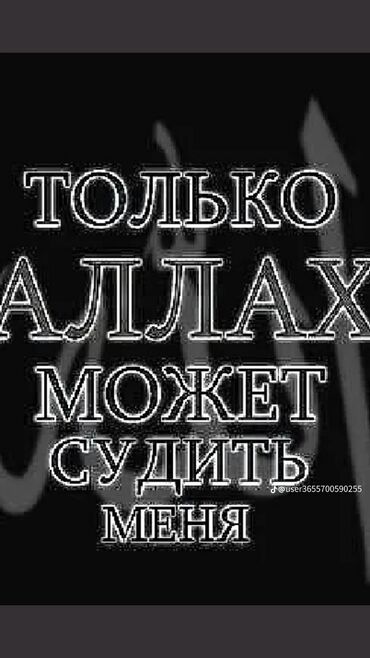 Штукатурка, шпаклевка: Штукатурка стен Больше 6 лет опыта