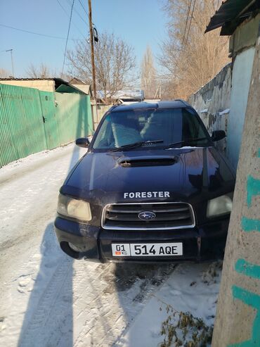 Subaru: Subaru Forester: 2004 г., 2 л, Автомат, Бензин, Кроссовер