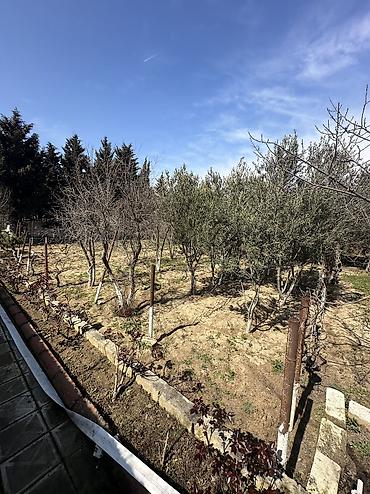goradil: 12 sot, Tikinti, Maklerlər narahat etməsin, Texniki pasport — 5