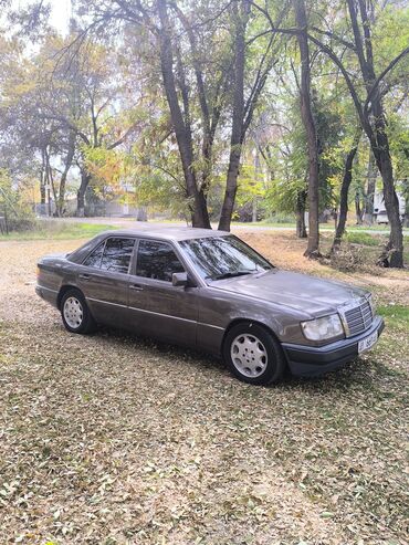 гольф 4 коробка автомат купить: Mercedes-Benz W124: 1991 г., 2.6 л, Механика, Бензин, Седан