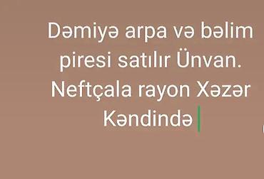 quru it yemi: Məhsul: Dəmyə arpa və bələm piresi (yabanı ot piresi/biomass) Təsvir — 1