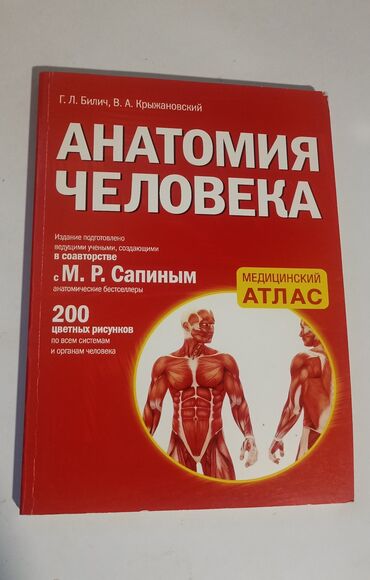 книги анатомия: Продам атлас по анатомии. Новый