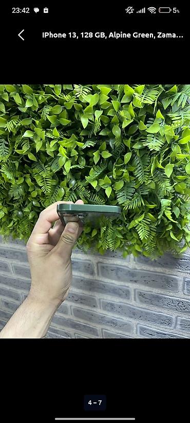 кнопкалы телефонлар: IPhone 13, 128 GB, Alpine Green, Face ID — 3