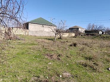 Torpaq sahələrinin satışı: 10 sot, Mülkiyyətçi, Bələdiyyə — 4