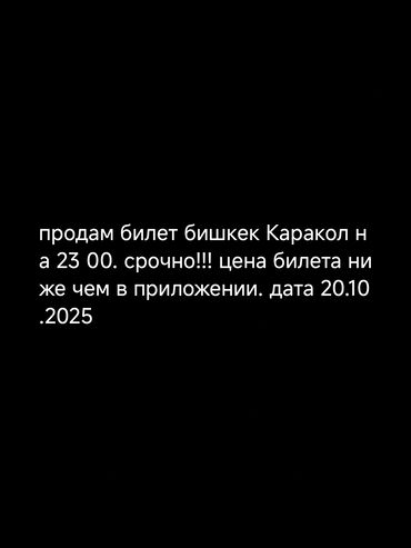 цены на кошек: Билет на маршрут Бишкек — Каракол. - Дата: 20.10.2025 - Время
