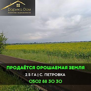 Продажа участков: 250 соток — 1