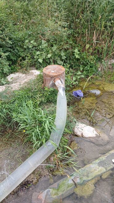 Продажа участков: 1300 соток, Для сельского хозяйства — 7