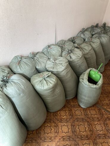 купить компост для шампиньонов бишкек: Биогумус- органическое удобрение, продукт переработки органических