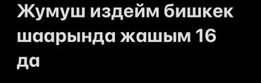 ищу работу утук: Услуга: поиск работы в г. Бишкек Описание: - Ищу работу в Бишкеке. -