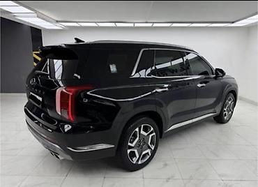 родиаторы: Hyundai Palisade: 2024 г., 3.8 л, Робот, Бензин, Кроссовер — 3