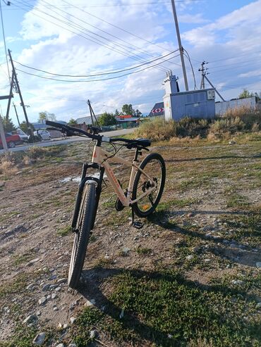 аренда велосипеды: Городской велосипед, Trinx, Рама L (172 - 185 см), Новый