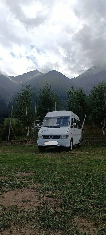 купить бортовой спринтер: Mercedes-Benz Sprinter: 1999 г., 2.9 л, Механика, Дизель, Бус