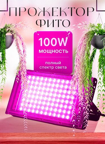 лампа для растений: Продаю фитолампу, мощность 100 w. Фитолампа светодиодная полного
