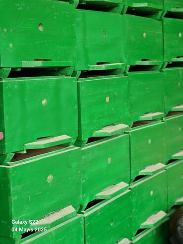 Arı yeşikləri: Arıçılıq üçün taxta pətək korpusları və qapaqları Məhsul təsviri: - — 4