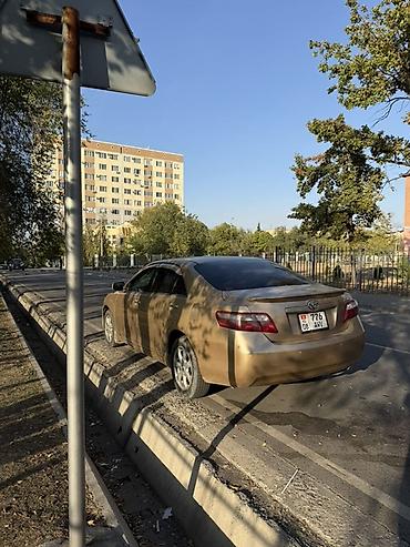 Toyota: Toyota Camry: 2009 г., 2.4 л, Автомат, Бензин, Седан — 5