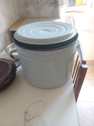 Otaq bitkiləri: Qazan, rəng - Ağ, 2 l