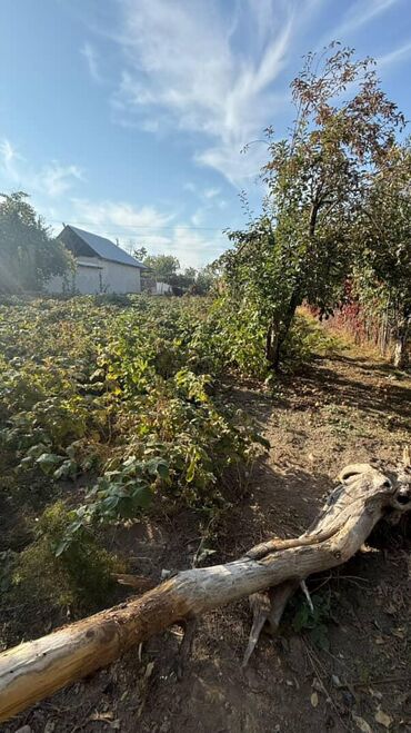 дом на ноч: 8 соток, Для сельского хозяйства