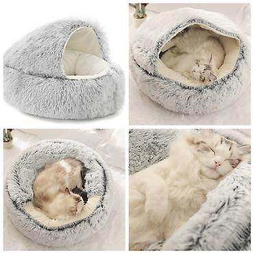 Зоотовары: ПРОДАЮ СУПЕР ПРОЧНЫЙ МЯЧЬ ДЛЯ СОБАК,А ТАК ЖЕ — 7