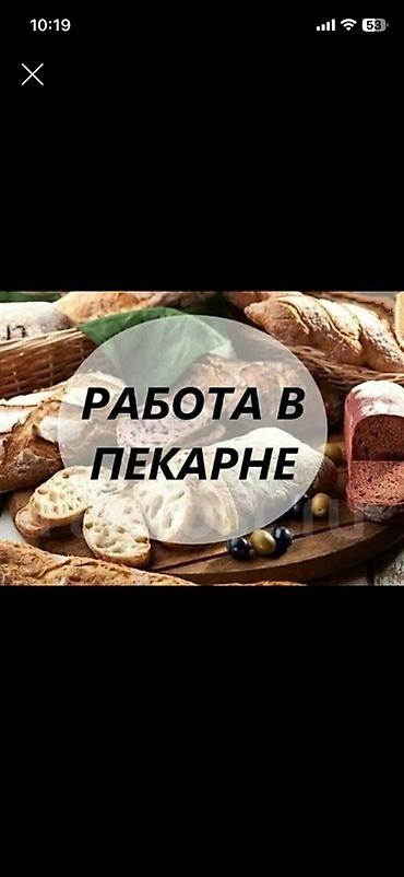 Требуется Пекарь, Оплата: Дважды в месяц, Без опыта