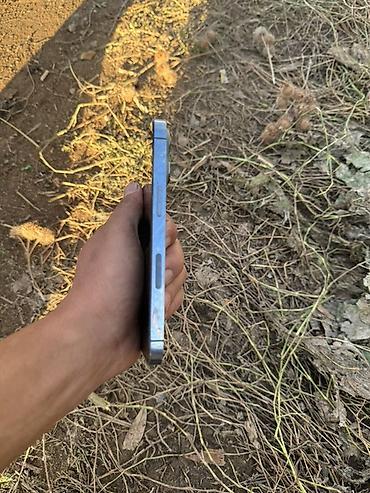Мобильные телефоны: IPhone 13 Pro, 6.1" - Цвет: светло‑голубой (Sierra Blue) - Корпус с — 2