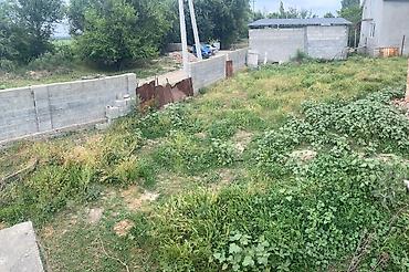 кок талаа: 11 соток, Айыл чарба үчүн, Кызыл китеп — 4