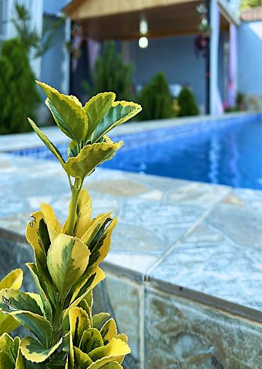 Günlük kirayə evlər: Qesresdedı Her bır şey var evde manqal samavar 4 Otaq 8 nefer qala -da lalafo.az — 10 Günlük kirayə evlər: Qesresdedı Her bır şey var evde manqal samavar 4 Otaq 8 nefer qala — 10