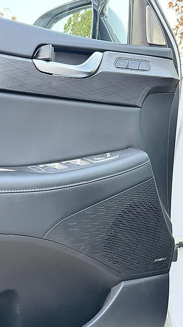 santa fe 2024: Hyundai Palisade: 2019 г., 2.2 л, Автомат, Дизель, Кроссовер — 10