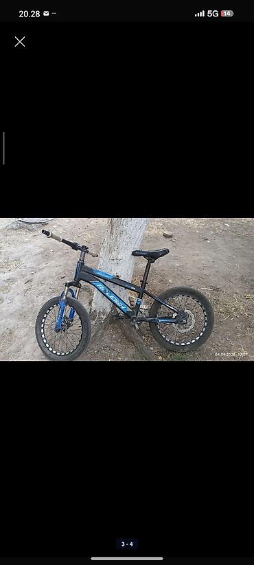 Горный велосипед Raleigh (Mountain Bike) - Рама: стальная, размер