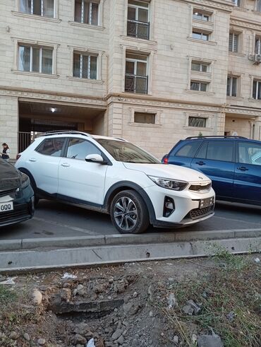 Kia: Kia Stonic: 2019 г., 1.4 л, Автомат, Бензин, Кроссовер — 3