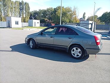 Продажа авто: Nissan Primera: 2004 г., 1.8 л, Механика, Бензин, Седан — 5