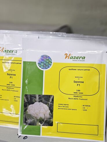 Овощи: Семена овощей: Помидоры, Огурцы, Лук, Самовывоз, Бесплатная доставка, Платная доставка — 17