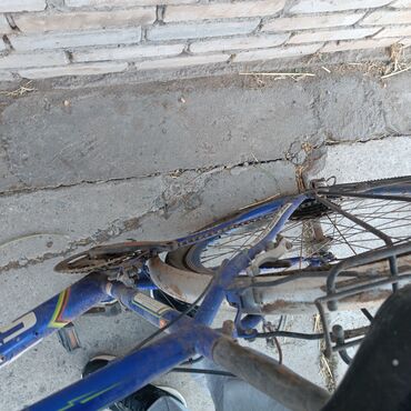 детские спортивные велосипеды: Городской велосипед, Рама M (156 - 178 см)