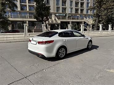 2016: Kia K5: 2016 г., 2 л, Автомат, Газ, Седан — 3