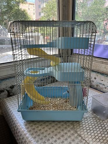 Hamster və balaca gəmiricilər üçün qəfəs - Rəng: açıq mavi plastik