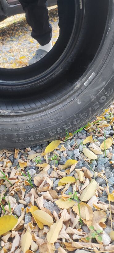 шины на ниву r16: Шины 205 / 60 / R 16, Зима, Пара, Nokian