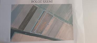 dostluq kinoteatri unvani: 63 sot, Kənd təsərrüfatı, Mülkiyyətçi, Kupça (Çıxarış) — 1