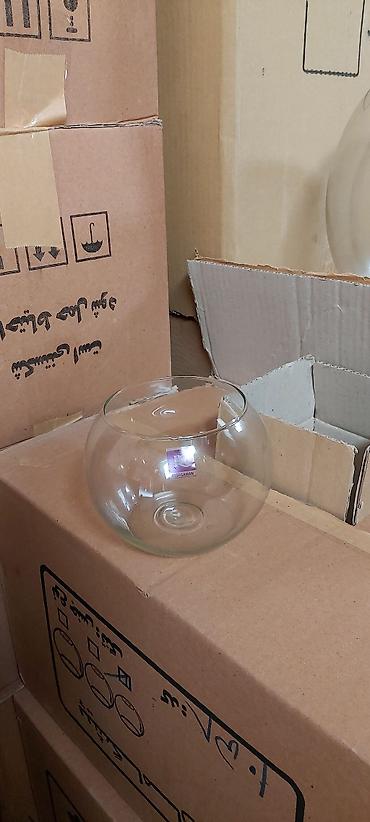 Akvariumlar: Akvarium İstənilən növdə, ölçüdə yumru akvariumlar, terrariumlar — 12