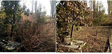 копать огород: -Уборка двора сада (огорода). -Услуги озеленения — 9