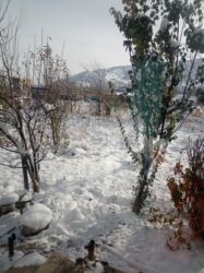 дом с озером: 5 соток, Курулуш, Кызыл китеп