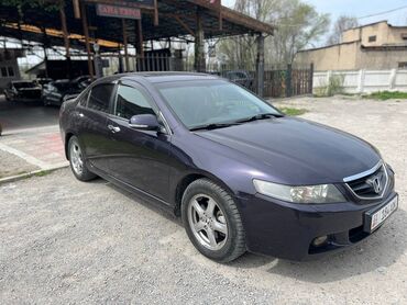 черно фиолетовое: Honda Accord: 2004 г., 2.4 л, Автомат, Бензин, Седан