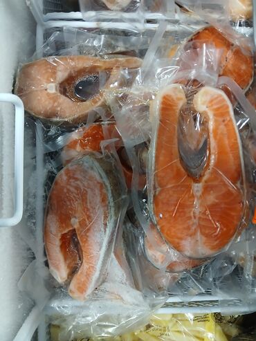 Рыба и морепродукты: Свежий — 20