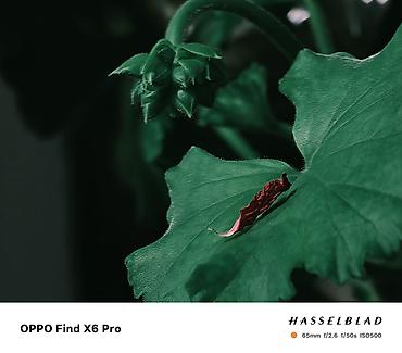 Oppo: Oppo Find X6 Pro, Б/у, 512 ГБ, цвет - Зеленый, 2 SIM — 11