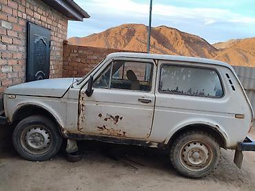 уваз нива: ВАЗ (ЛАДА) 2121 (4x4): 1984 г., 1.7 л, Механика, Бензин, Внедорожник — 3