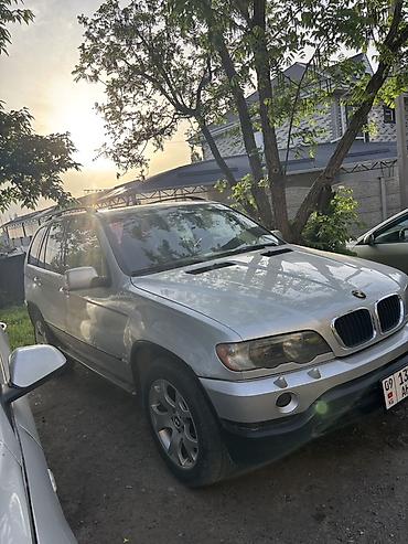 BMW: BMW X5: 2003 г., 3 л, Автомат, Бензин, Кроссовер — 2