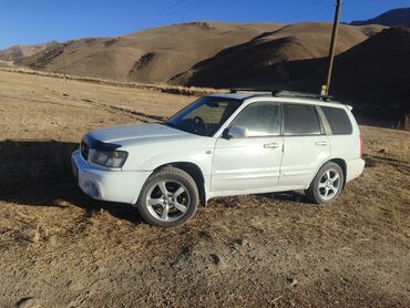 Subaru: Subaru Forester: 2002 г., 2 л, Автомат, Бензин, Универсал — 11