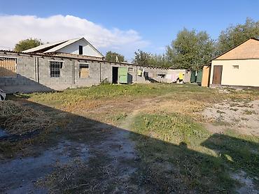 Үйлөрдү сатуу: 2 бөлмө, 60 м², 7 соток, Электр энергиясы, Муздак суу, Септик — 4