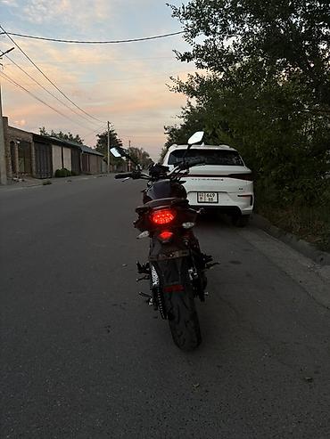 ninja h2: Naked 300 куб. см, Бензин, Взрослый, Б/у — 5